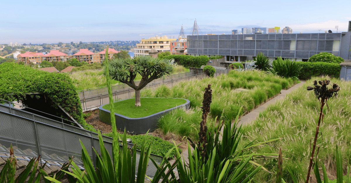 green roof